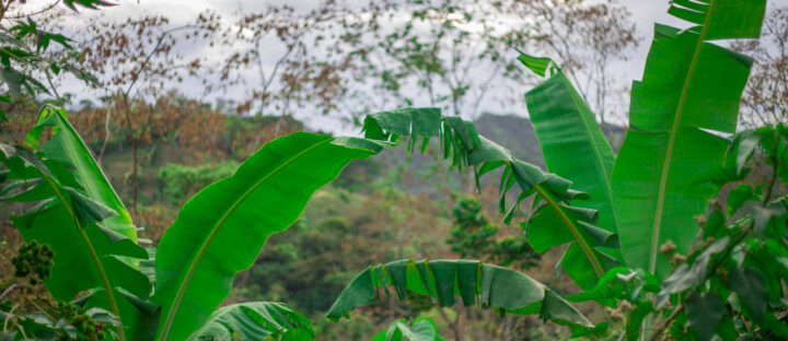 Saving Lives in Remote Nicaragua: A Story of Community and Hope